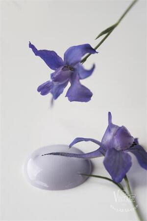 Kalkkimaali French Lavender 100ml Vintage Paint