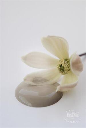 Kalkkimaali Old Beige 100ml Vintage Paint