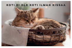 Magneetti Koti ei ole koti ilman kissaa