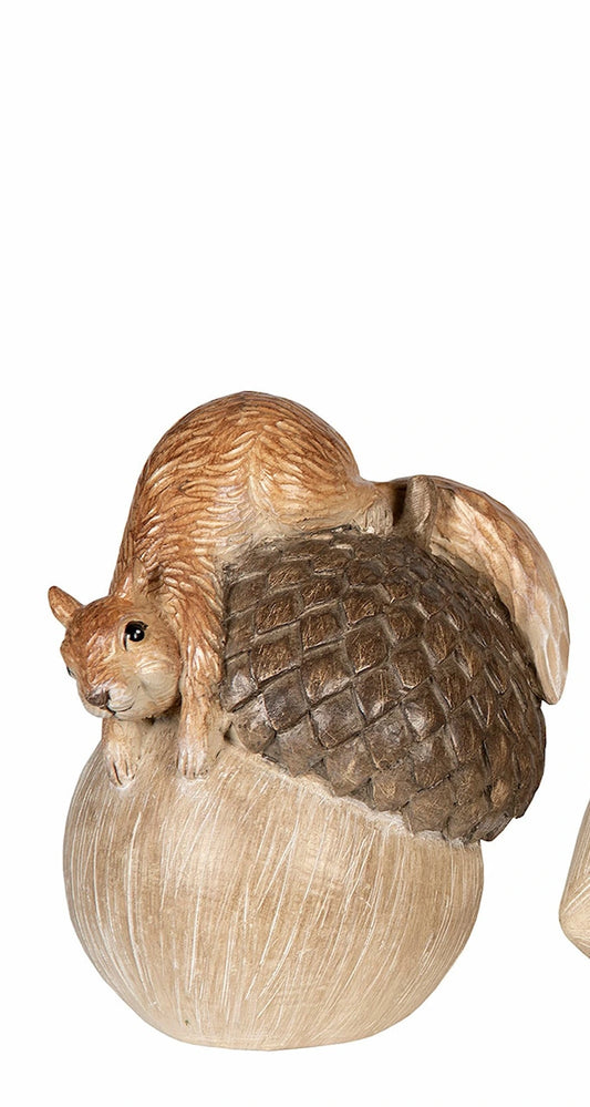 Orava ja tammenterho 3 vaihtoehtoa