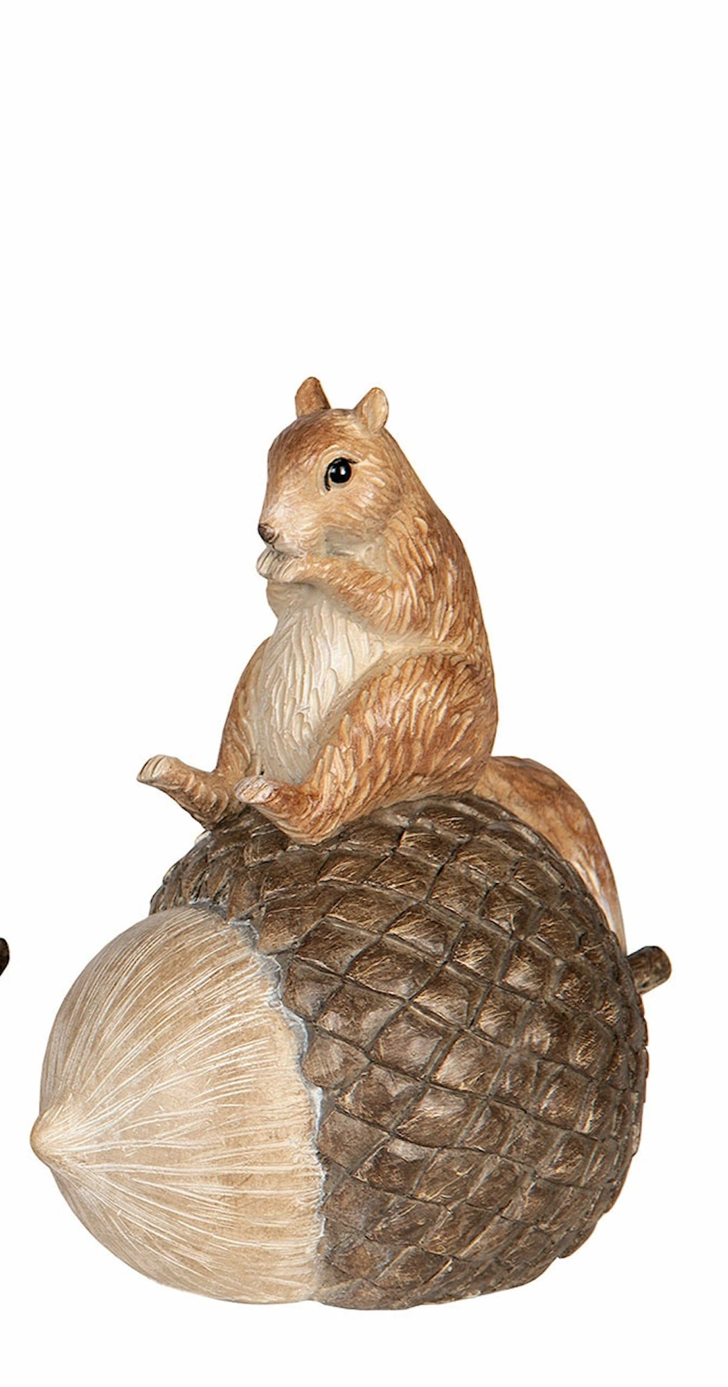 Orava ja tammenterho 3 vaihtoehtoa