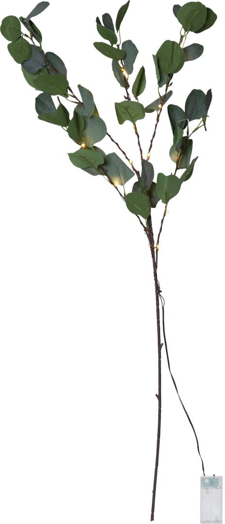 Eucalyptus koristeoksa 90cm
