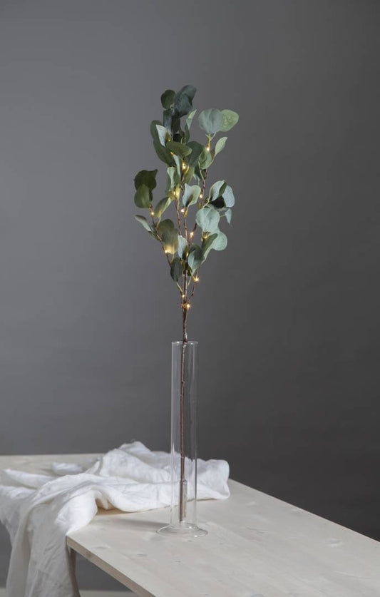 Eucalyptus koristeoksa 90cm