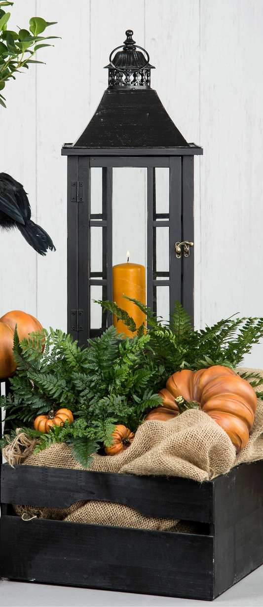 Kurpitsa oranssi matala 20cm