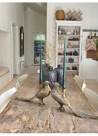 Kynttilänjalka Fasaani