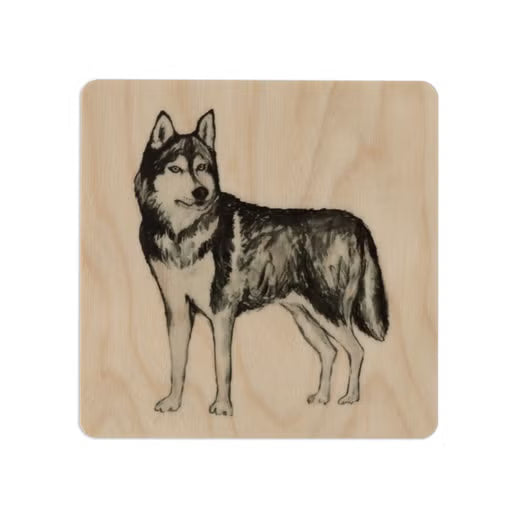 Lasinalunen Husky 10x10cm