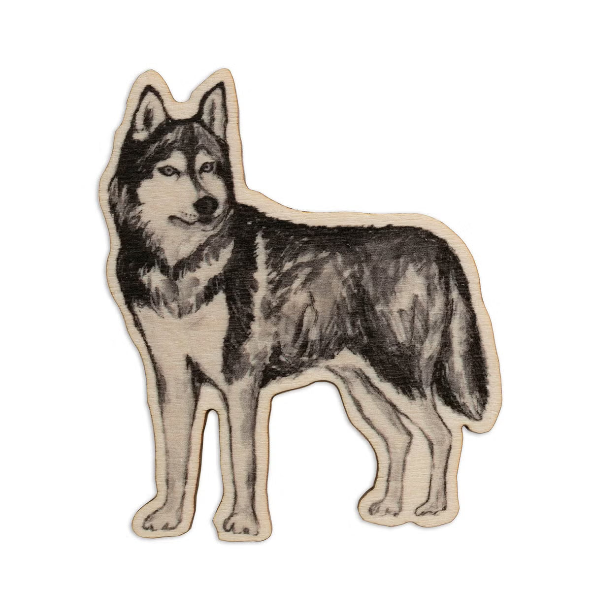 Magneetti Husky 5x6cm