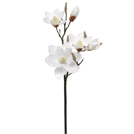 Mangolianoksa 90cm valkoinen