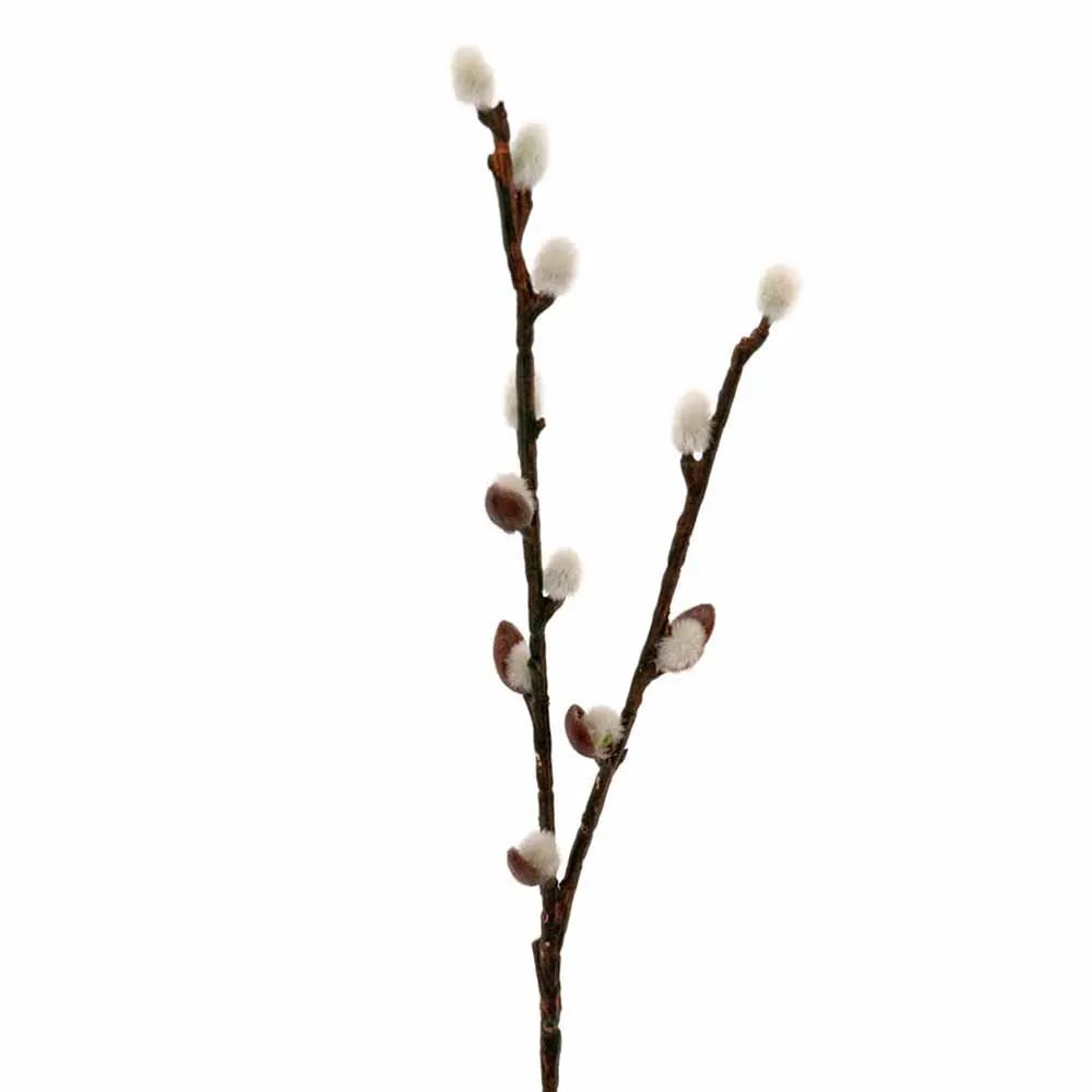 Pajunkissaoksa 36cm