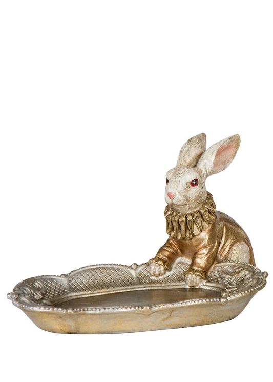 Pupu ja tarjotin vihreä tai shampanja