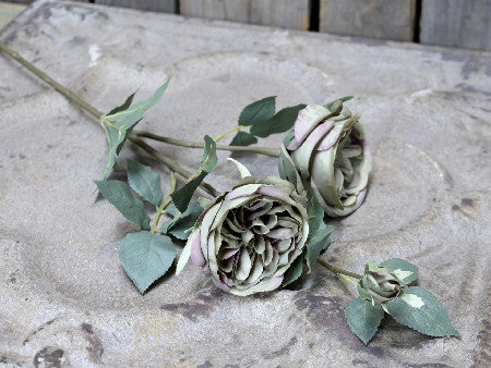 Ruusunoksa 75cm dusty green