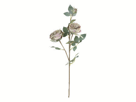 Ruusunoksa 75cm dusty green