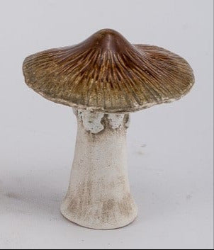 Koriste sienet 11cm