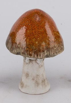 Koriste sienet 11cm