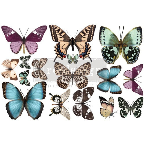 Siirtokuva Butterfly Re-Desing