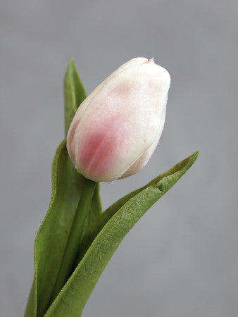 Tulppaani puuteri 47cm