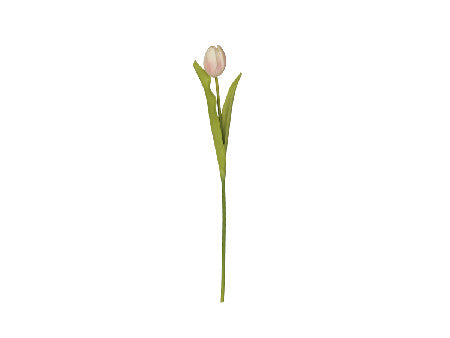 Tulppaani puuteri 47cm