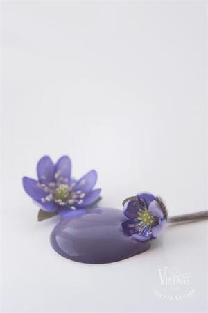 Kalkkimaali Dark Lavender 100ml Vintage Paint
