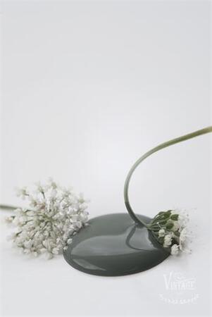 Kalkkimaali Dusty Olive 100ml Vintage Paint