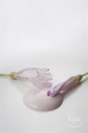 Kalkkimaali Faded Rose Vintage Paint