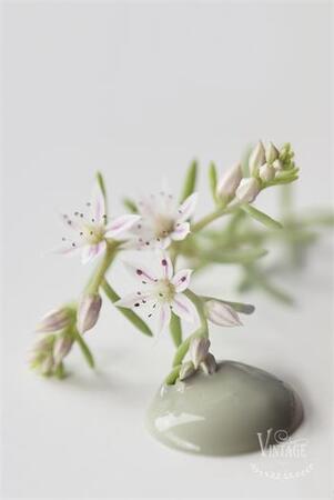 Kalkkimaali Moss Green 100ml Vintage Paint