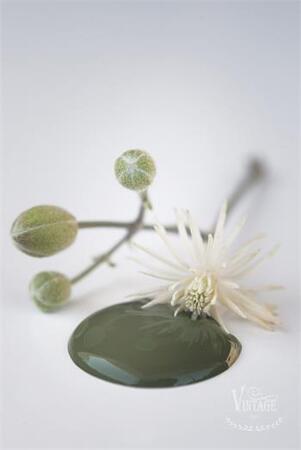 Kalkkimaali Olive Green Vintage Paint