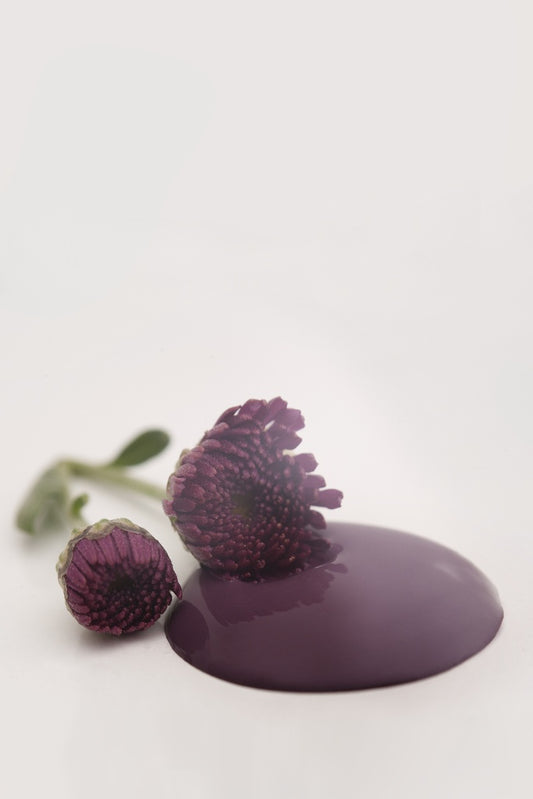 Kalkkimaali Posh Plum 50ml Vintage Paint