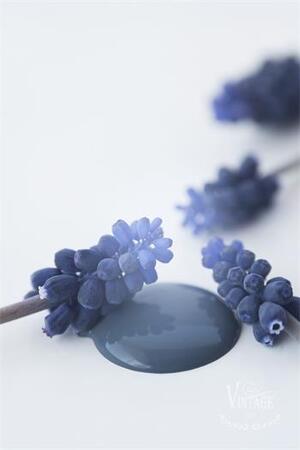 Kalkkimaali Royal Blue 100ml Vintage Paint