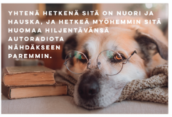 Magneetti Yhtenä hetkenä sitä on nuori ja hauska, ja hetkeä myöhemmin sitä huomaa hiljentävänsä autoradiota nähdäkseen paremmin.