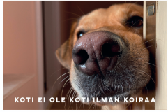 Magneetti koti ei ole koti ilman koiraa