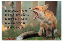 Magneetti Minulla on hyvä sydän, mutta ihan mahdoton tämä suu...