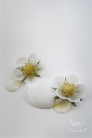 Kalkkimaali Soft Cream Vintage Paint