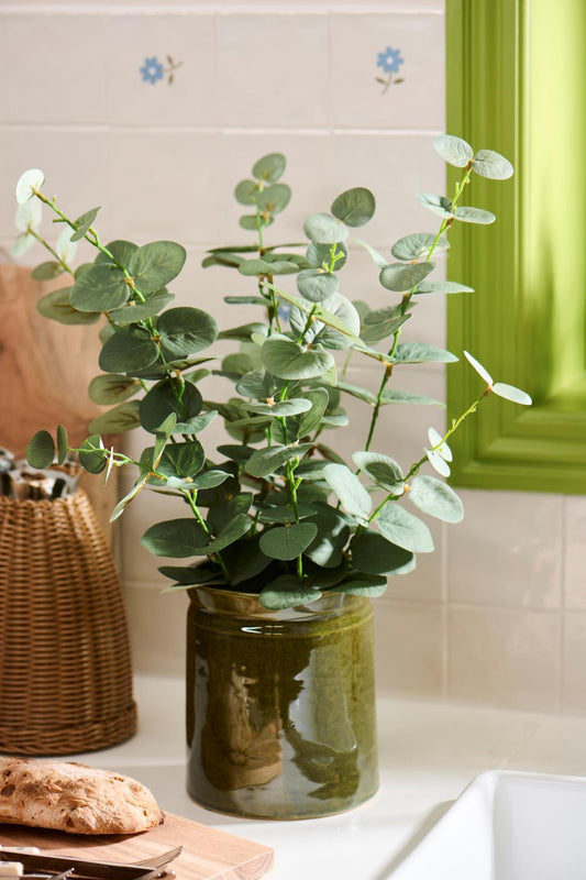 Eucalyptus ruukussa 52cm