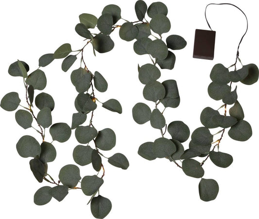 Eucalyptus köynös 180cm