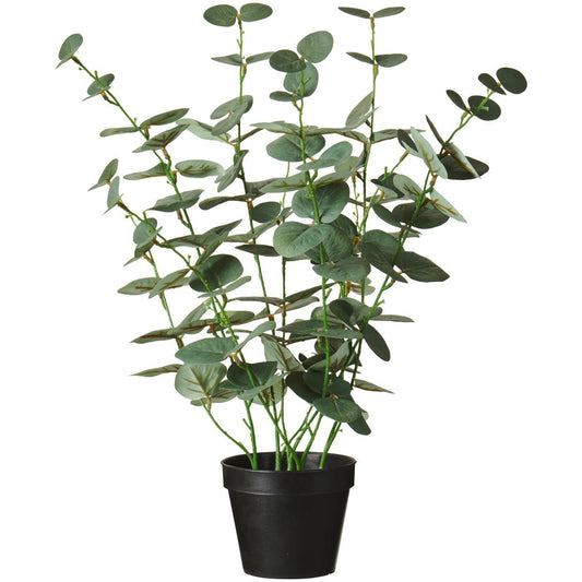 Eucalyptus ruukussa 52cm