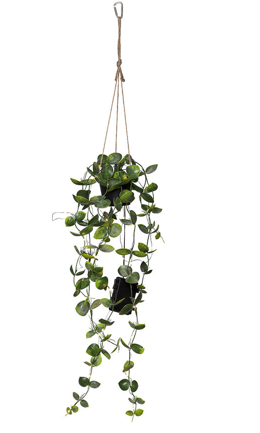 Laos köynösruukku 60cm led-valoilla