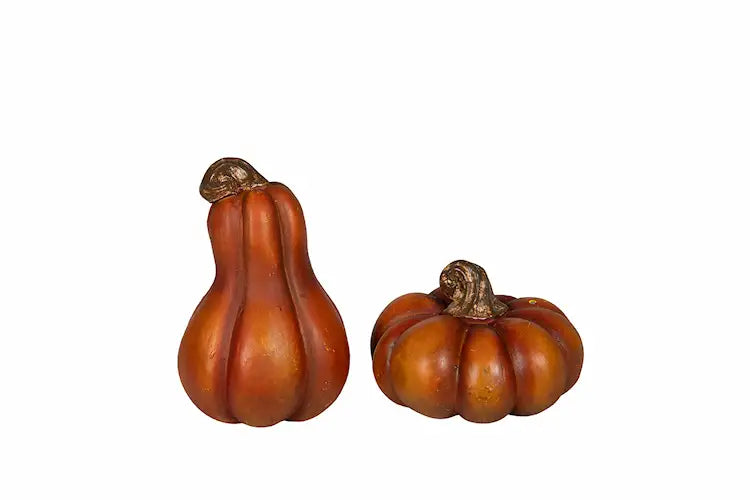 Mini kurpitsa lajitelma