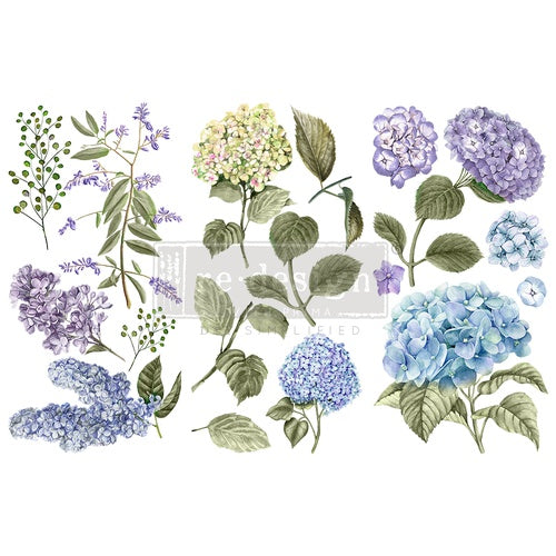 Siirtokuva Mystic Hydrangea