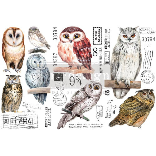 Siirtokuva Owl