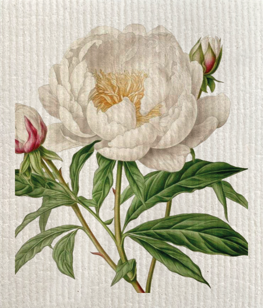 Tiskiliina Pioni