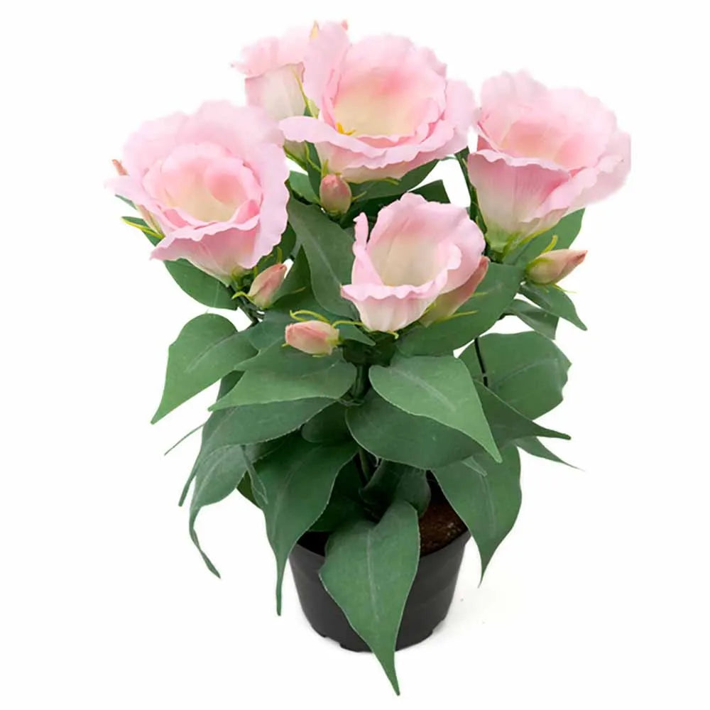Preeriaeustoma 30cm vaaleanpunainen
