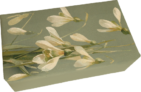 Palasaippua Omena 200g