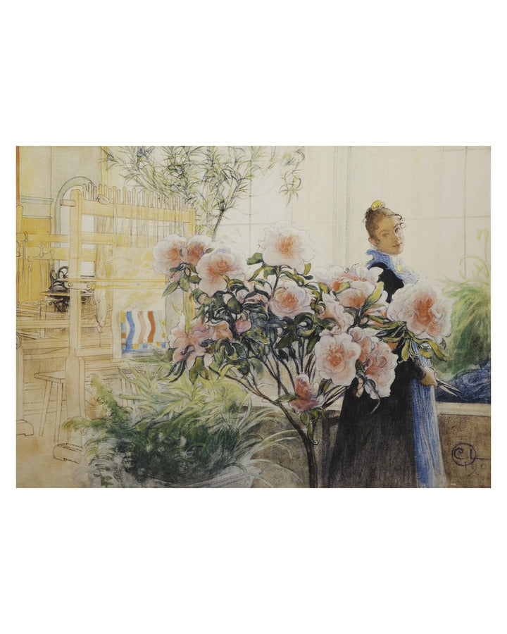 Carl Larsson seinävaate  Roosa 100x140cm