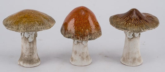 Koriste sienet 11cm