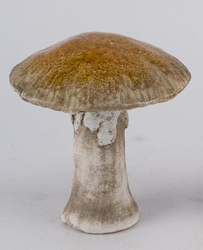 Koriste sienet 11cm