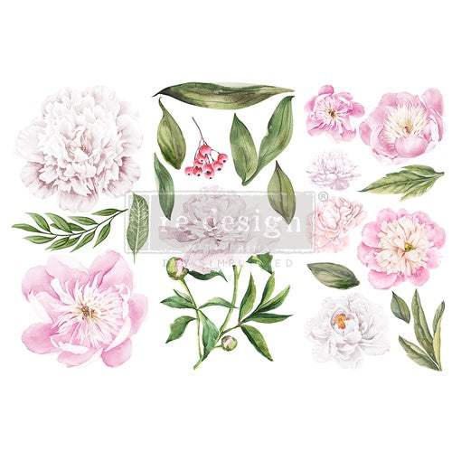 Siirtokuva Mornin Peonies Re-Desing