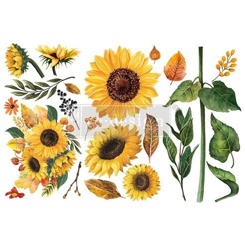 Siirtokuva Sunflower afternoon Re-Desing