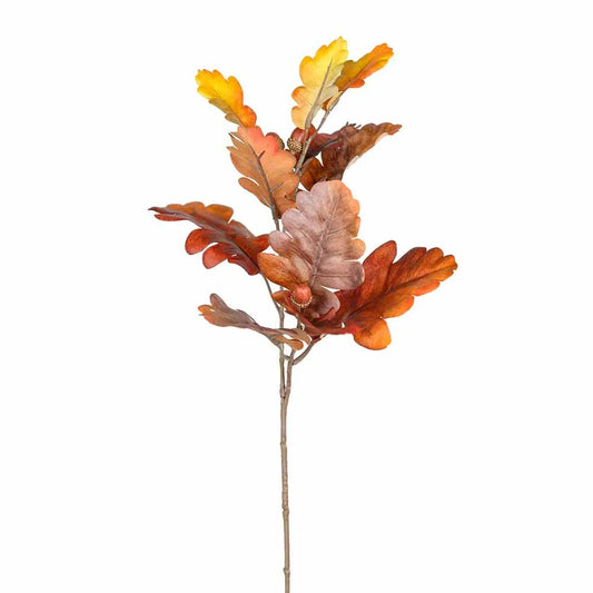 Tammenoksa 65cm
